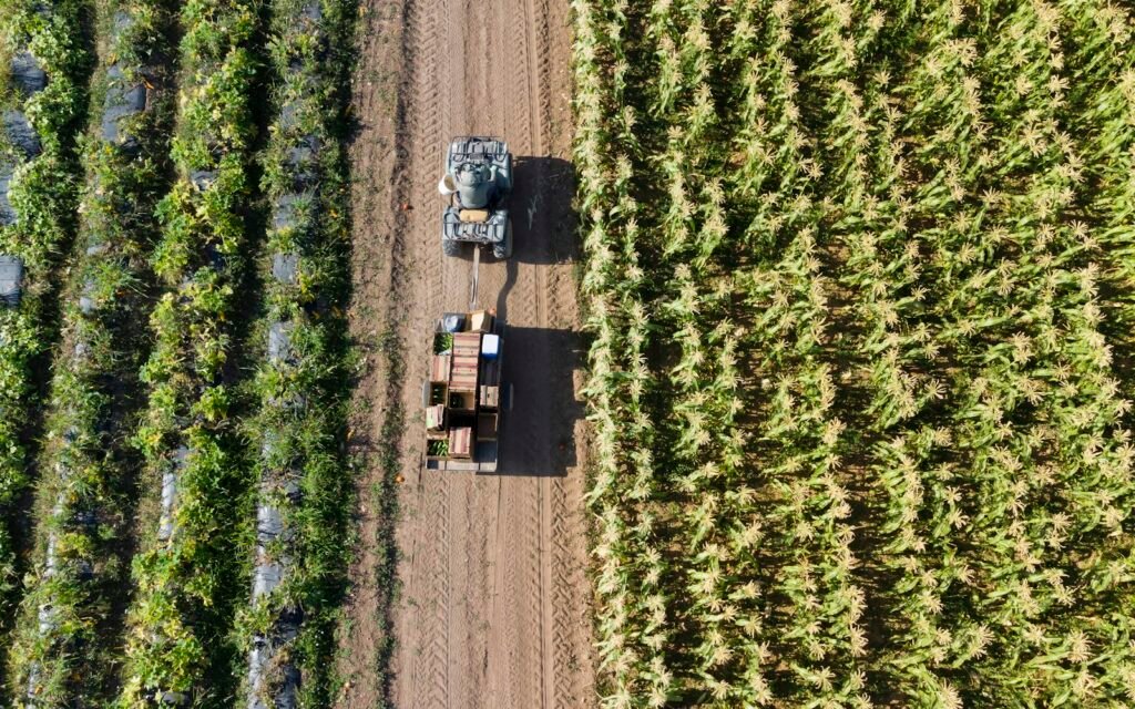 Landtechnik – Stahlkonstruktionen, Schutzabdeckungen, Halter
